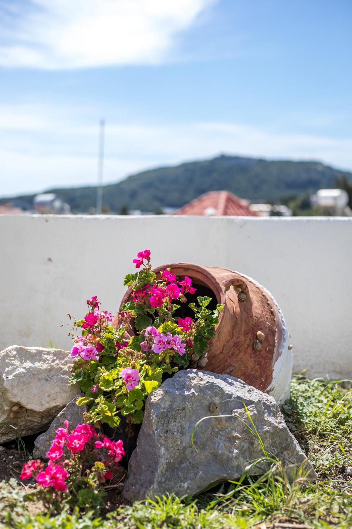 Sunny Villa Φαληράκι Εξωτερικό φωτογραφία